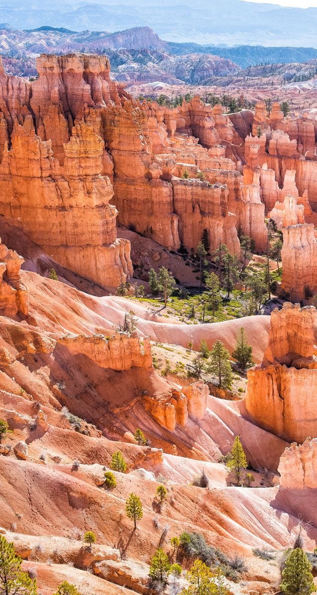 Bryce Canyon National Park hoodoo rock formations in shades of orange, red, and pink with scattered evergreen trees