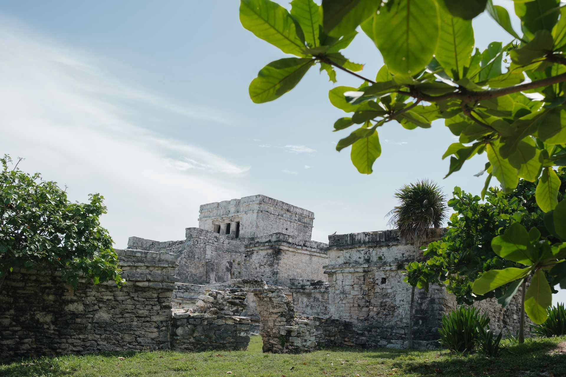 Ancient Mayan stone ruins with palm trees and tropical vegetation under clear sky